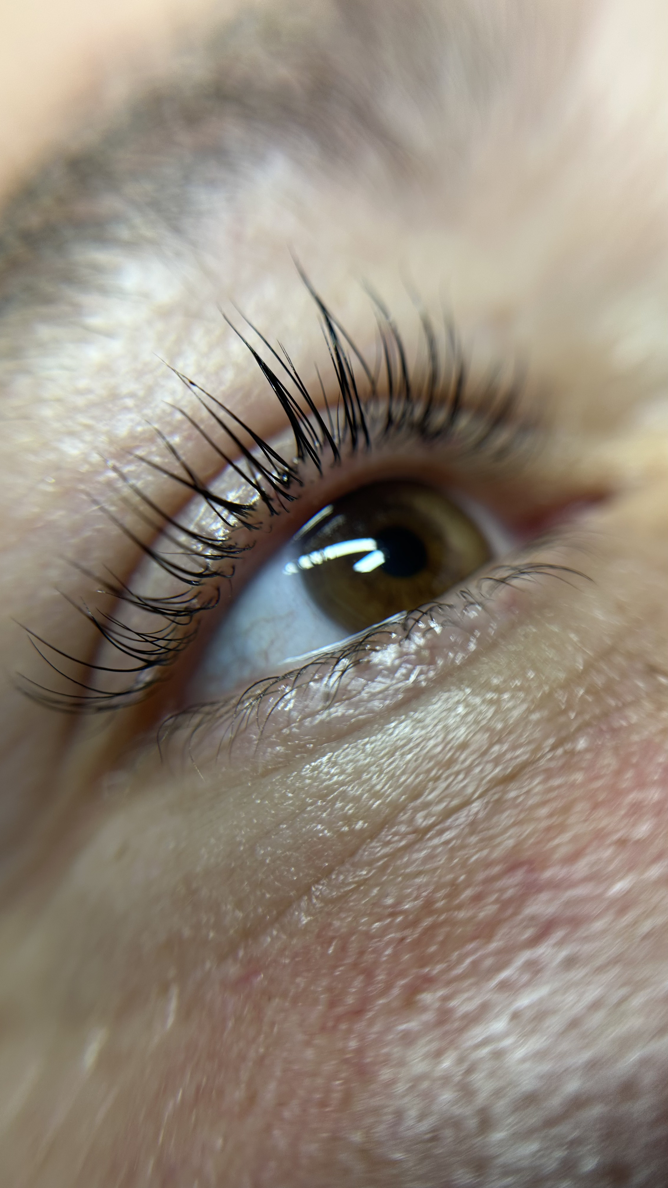 Lash lifting hnedé oko